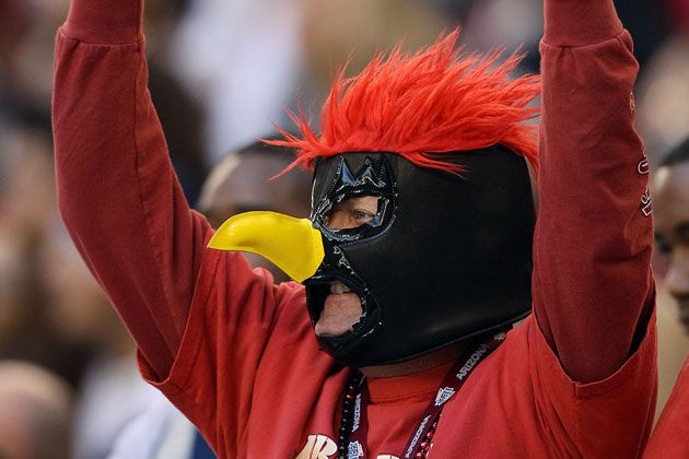 How Fanatical are Arizona Football Fans?! 🏈 🤪